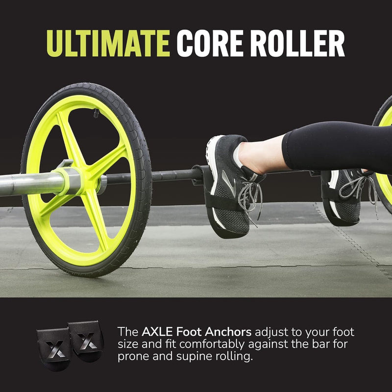 Home Gym Workout Barbells - Barbell Weight Set for Strength Training, Collapsible Equipment for Indoor & Outdoor Workouts for Men, Women, and Youth - elev8life