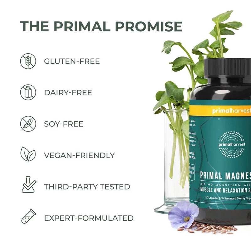 Magnesium Complex with Zinc – 120 Capsules - elev8life